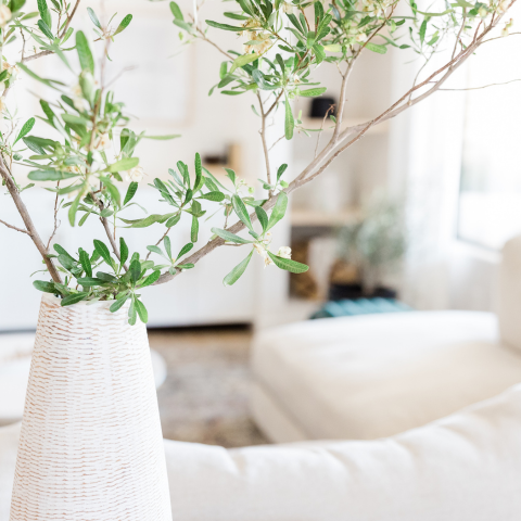 Triin Pärn 480x480px